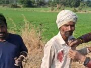 बाघ ने किया किसान पर हमला,जिला अस्पताल में चल रहा इलाज