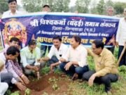 विश्वकर्मा बढ़ई समाज संगठन ने गुरैया मोक्षधाम में किया पौधारोपण