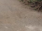 सीसी रोड की जांच करेगी पांच अधिकारी की टीम