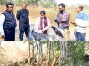 बीजेपानी 20 एकड़ शासकीय भूमि पर चले अवैध कुल्हाड़े, प्रशासन ने दी दबिश