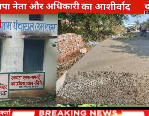 भाजपा नेता कमलनाथ का है सरपंच सचिव अधिकारी इंजीनियर पर आशीर्वाद