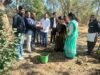 एन.एस.यू.आई. ने चौरई महाविद्यालय में किया वृक्षारोपण