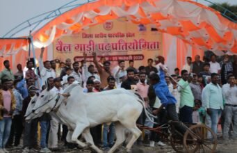 बैलगाड़ी पट प्रतियोगिता पारंपरिक खेल हमारी सांस्कृतिक पहचान हैं