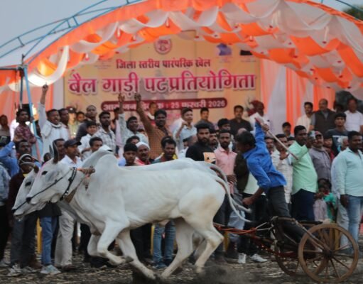 बैलगाड़ी पट प्रतियोगिता पारंपरिक खेल हमारी सांस्कृतिक पहचान हैं