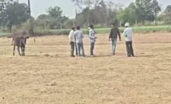 छिंदवाड़ा शहर के आसपास अवैध कॉलोनी छिंदवाड़ा जिला प्रशासन ने की कार्रवाई