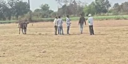 Screenshot_20260201-205624_WhatsApp