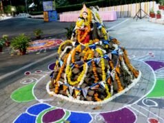 लकड़ी नहीं… गौ-काष्ठ अपनाएँ