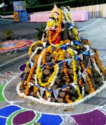 लकड़ी नहीं… गौ-काष्ठ अपनाएँ