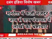 मनरेगा के काम में फर्जी मजदूर, सरपंच सचिव की मिली भगत