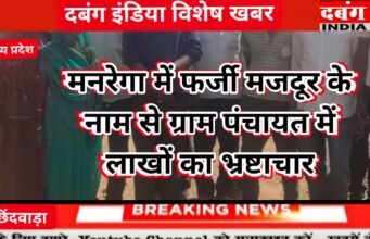 मनरेगा के काम में फर्जी मजदूर, सरपंच सचिव की मिली भगत