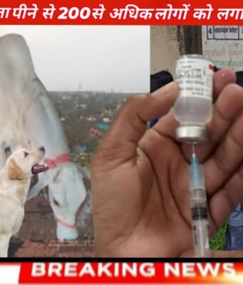 शादी समारोह में रायता पीने से 200 से अधिक लोगों को लगा रेबीज इंजेक्शन