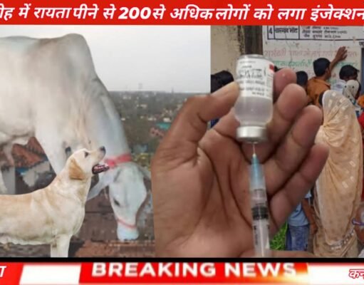 शादी समारोह में रायता पीने से 200 से अधिक लोगों को लगा रेबीज इंजेक्शन