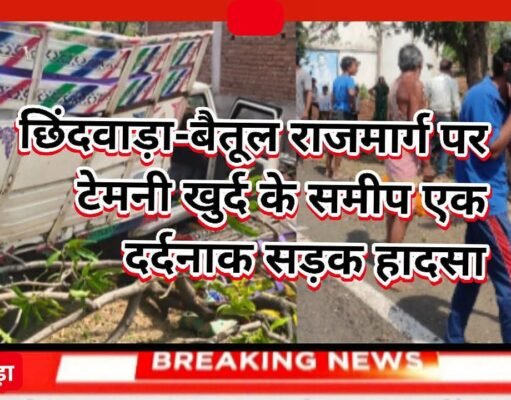 छिंदवाड़ा-बैतूल राजमार्ग पर टेमनी खुर्द मे दर्दनाक सड़क हादसा