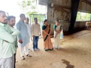 अव्यवस्थाओं का शिकार हो रही गौमाता, कांग्रेस पार्षद दल ने जताई नाराजगी