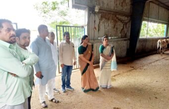 अव्यवस्थाओं का शिकार हो रही गौमाता, कांग्रेस पार्षद दल ने जताई नाराजगी