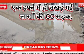 एक हफ्ते में ही उखड़ गई ढाई लाख की CC सड़क, गुरैया पंचायत में भ्रष्टाचार उजागर