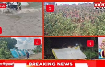 छिंदवाड़ा में मौसम का तांडव: 10 मिनट के भीषण तूफान से दर्जनों गणेश पंडाल उड़े, पेड़ व बिजली के खंभे धराशायी