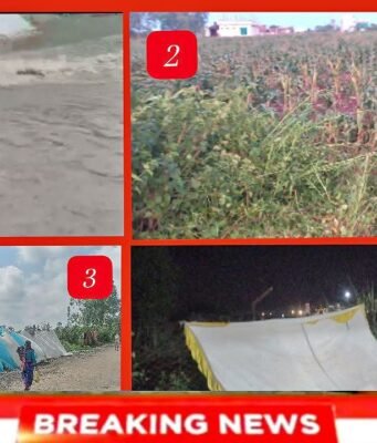 छिंदवाड़ा में मौसम का तांडव: 10 मिनट के भीषण तूफान से दर्जनों गणेश पंडाल उड़े, पेड़ व बिजली के खंभे धराशायी