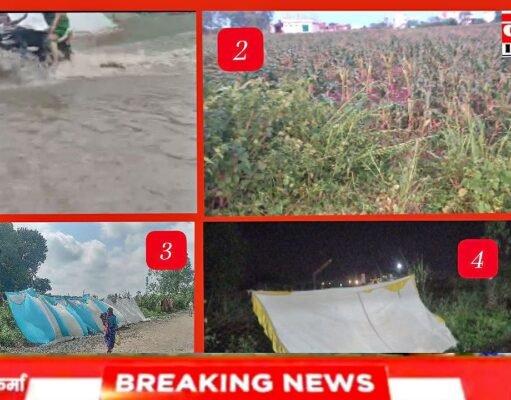 छिंदवाड़ा में मौसम का तांडव: 10 मिनट के भीषण तूफान से दर्जनों गणेश पंडाल उड़े, पेड़ व बिजली के खंभे धराशायी
